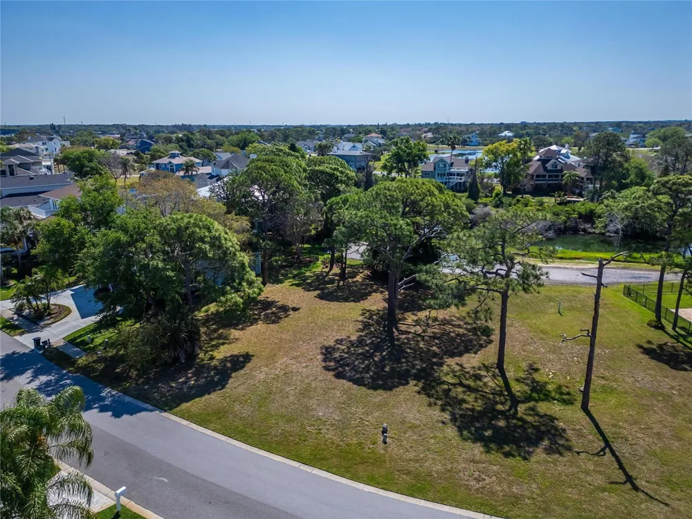 POINTE ALEXIS DRIVE Tarpon Springs, FL 34689