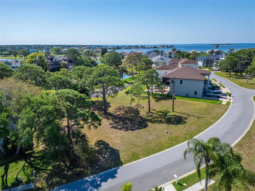 POINTE ALEXIS DRIVE Tarpon Springs, FL 34689