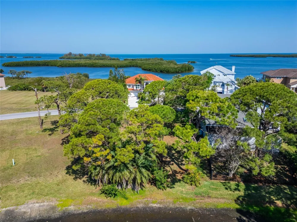 POINTE ALEXIS DRIVE Tarpon Springs, FL 34689
