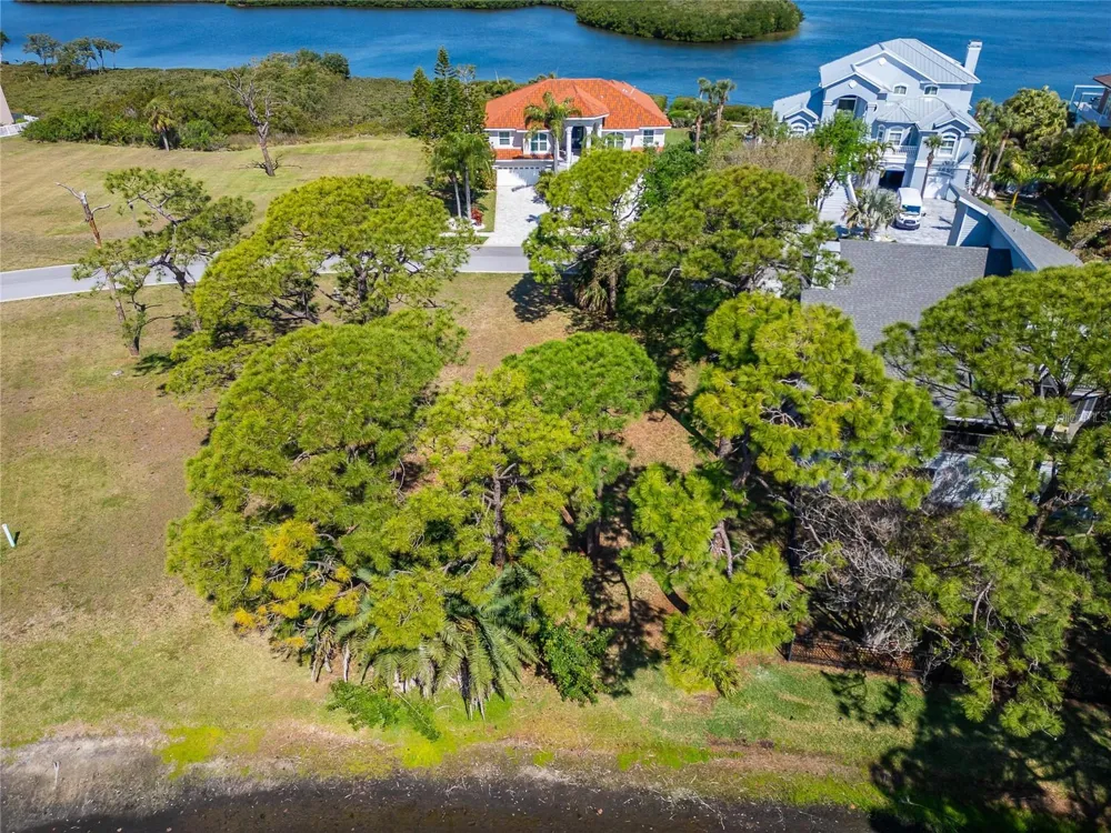 POINTE ALEXIS DRIVE Tarpon Springs, FL 34689