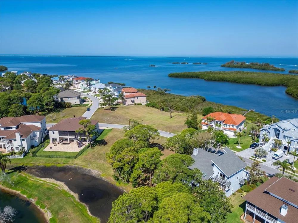POINTE ALEXIS DRIVE Tarpon Springs, FL 34689