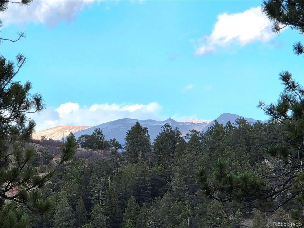 204 Pine Road Florissant, CO 80816