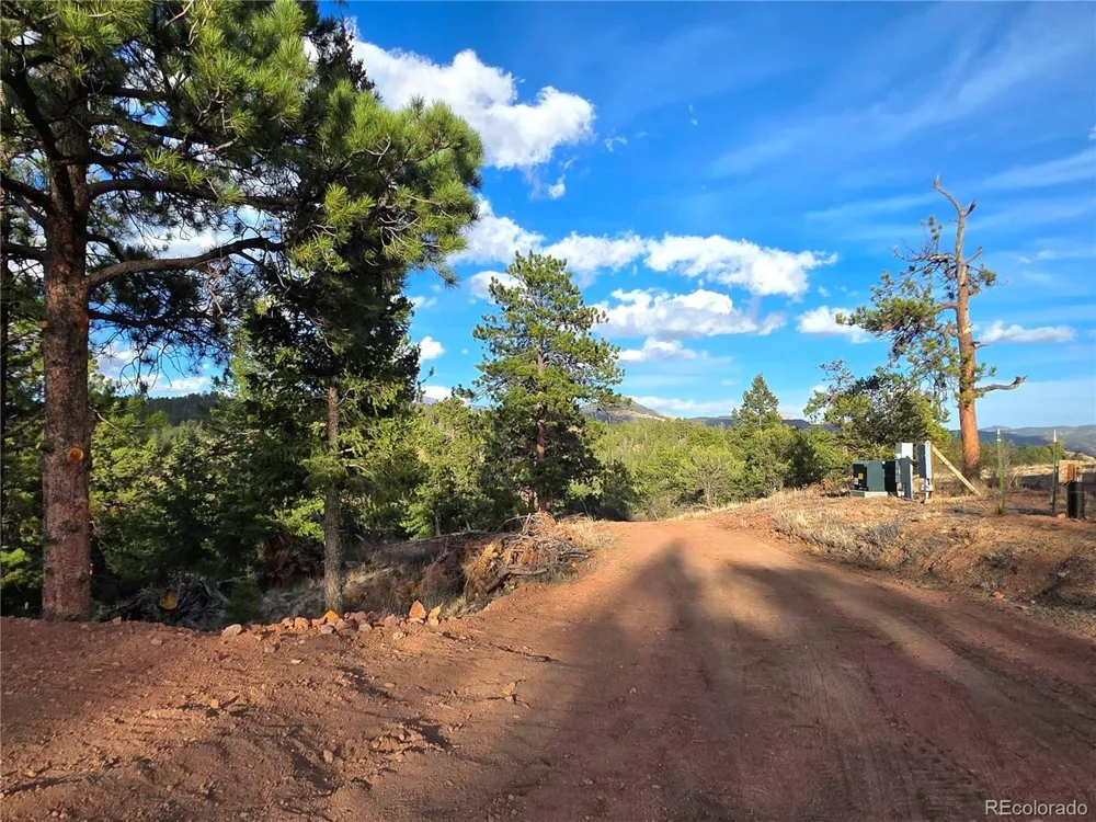 204 Pine Road Florissant, CO 80816