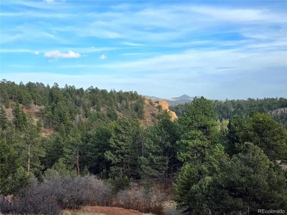 204 Pine Road Florissant, CO 80816