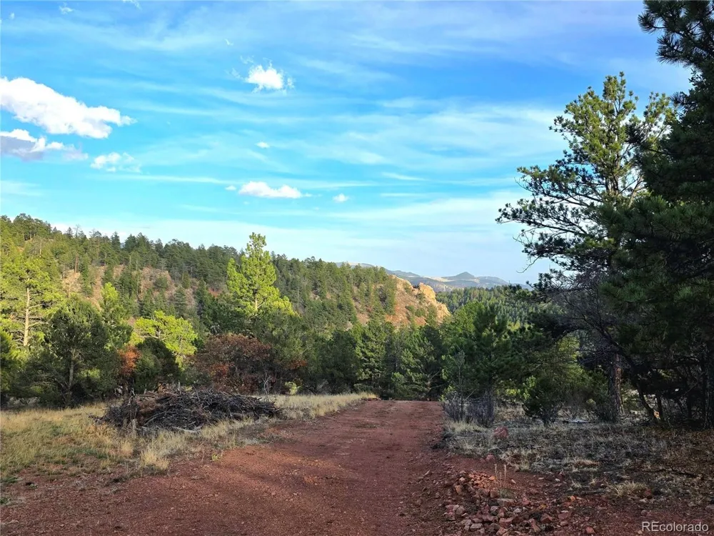 204 Pine Road Florissant, CO 80816