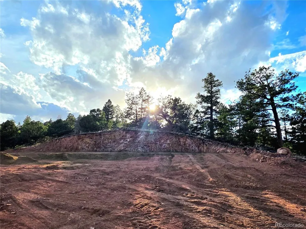 204 Pine Road Florissant, CO 80816
