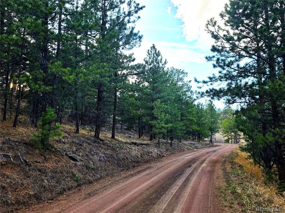 204 Pine Road Florissant, CO 80816