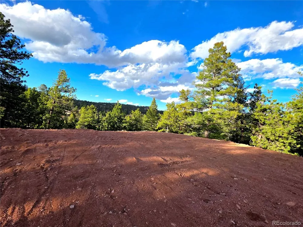 204 Pine Road Florissant, CO 80816