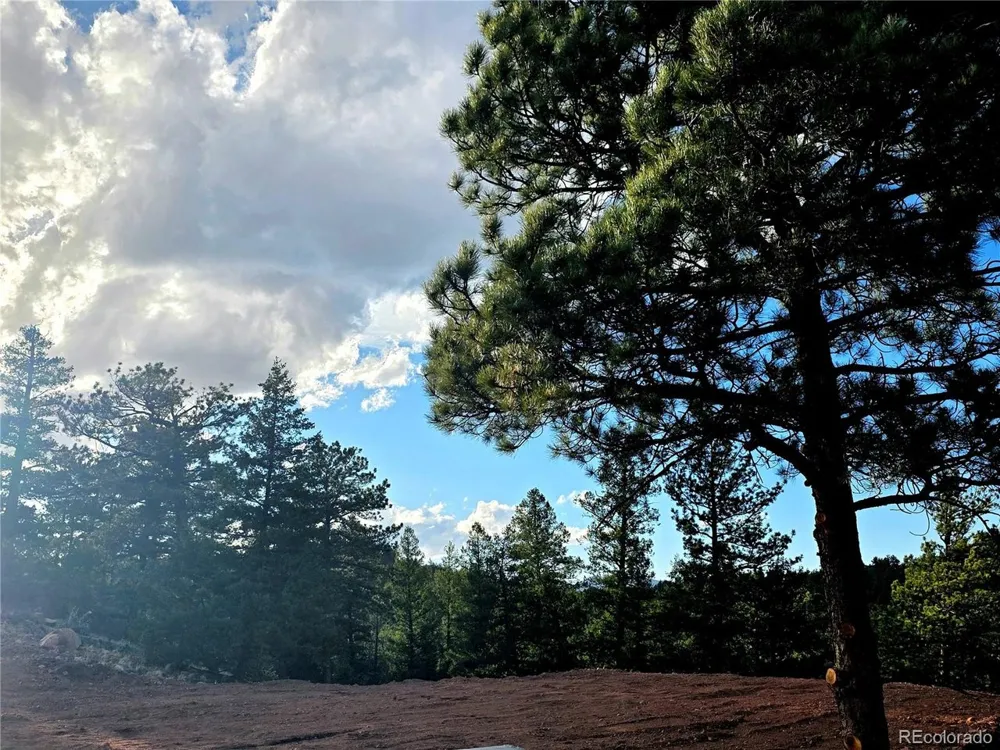 204 Pine Road Florissant, CO 80816