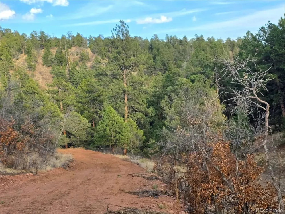 204 Pine Road Florissant, CO 80816
