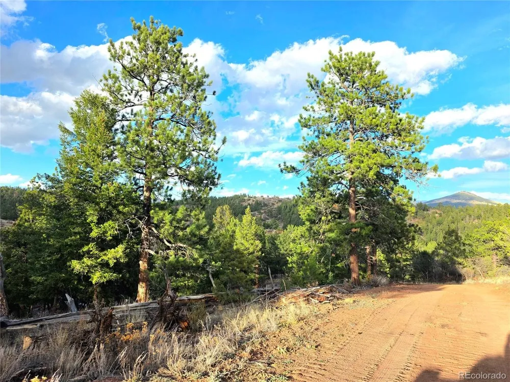 204 Pine Road Florissant, CO 80816