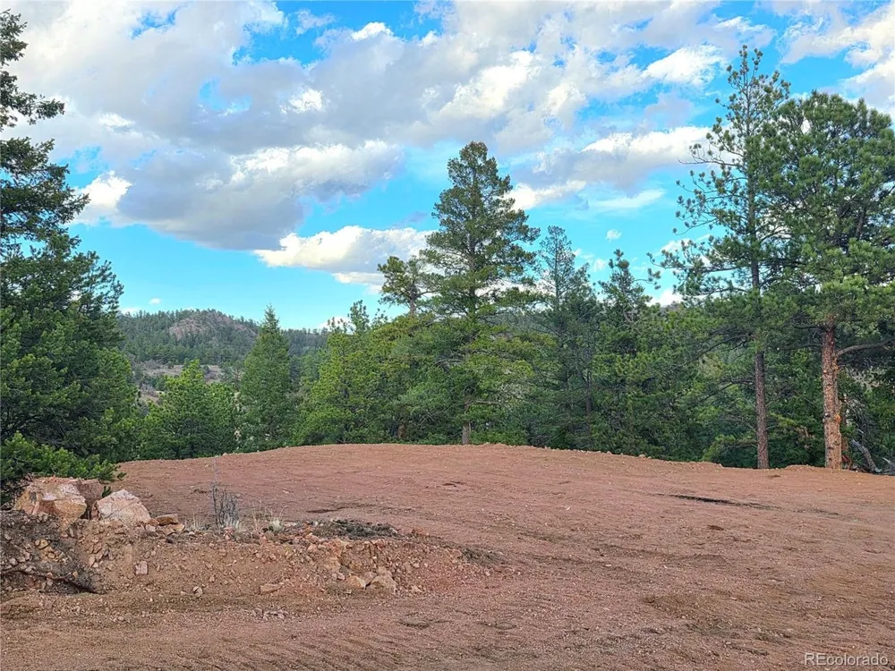 204 Pine Road Florissant, CO 80816