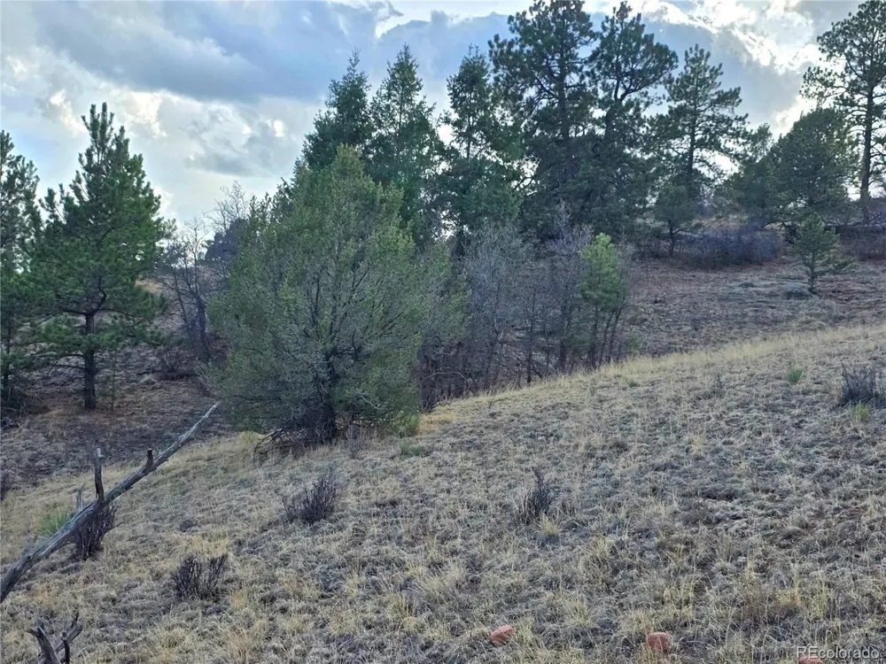 204 Pine Road Florissant, CO 80816