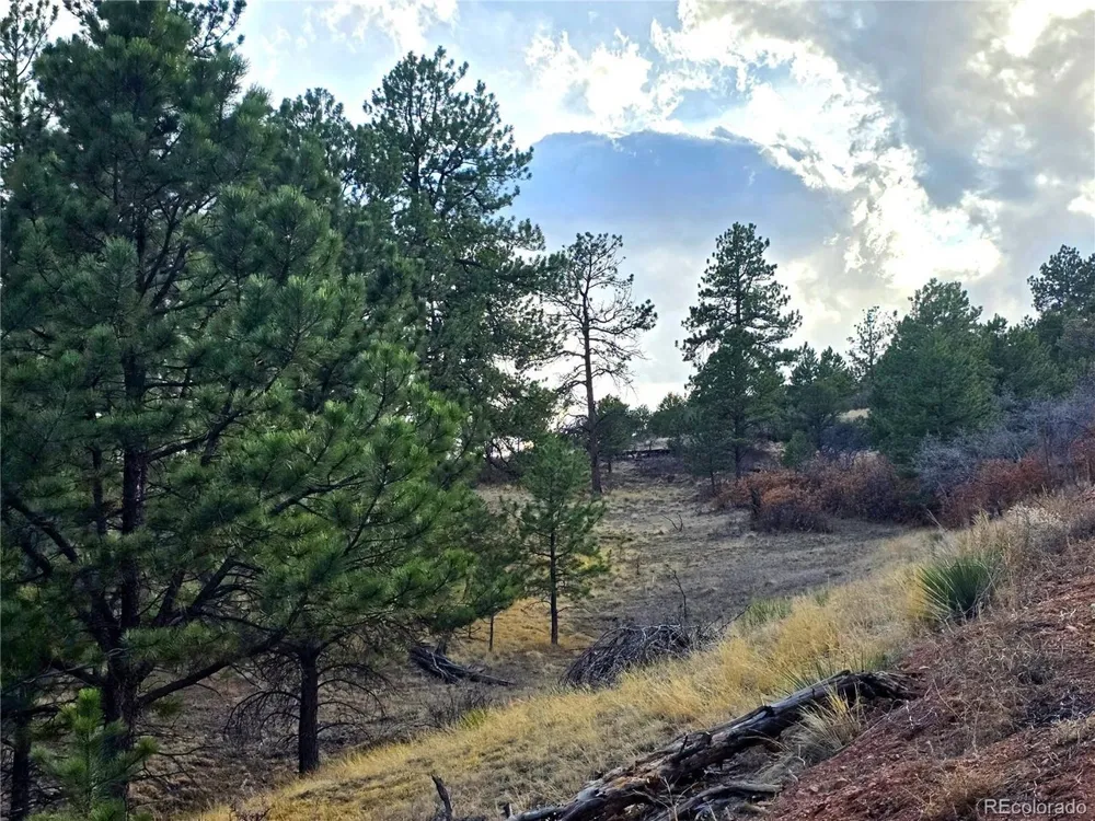 204 Pine Road Florissant, CO 80816