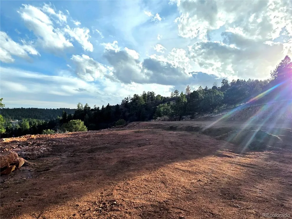 204 Pine Road Florissant, CO 80816