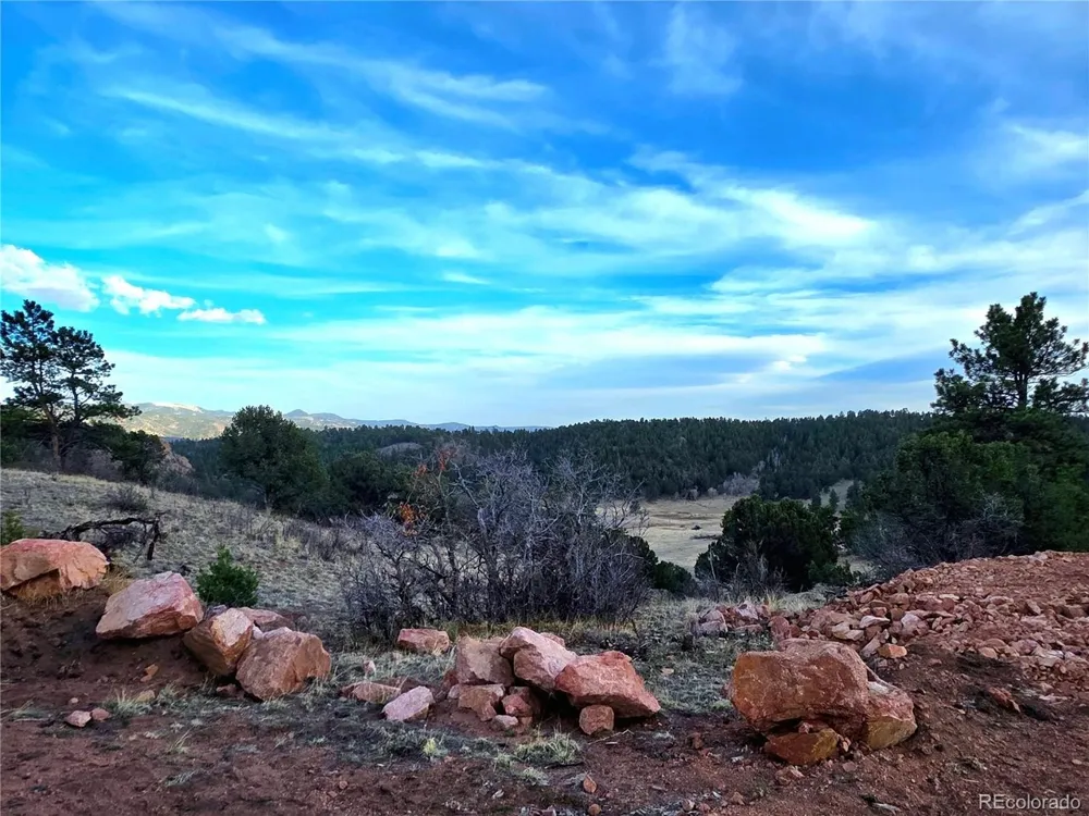 204 Pine Road Florissant, CO 80816