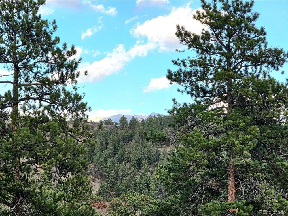 204 Pine Road Florissant, CO 80816