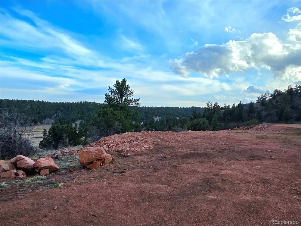 204 Pine Road Florissant, CO 80816