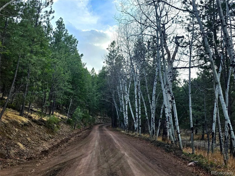 204 Pine Road Florissant, CO 80816