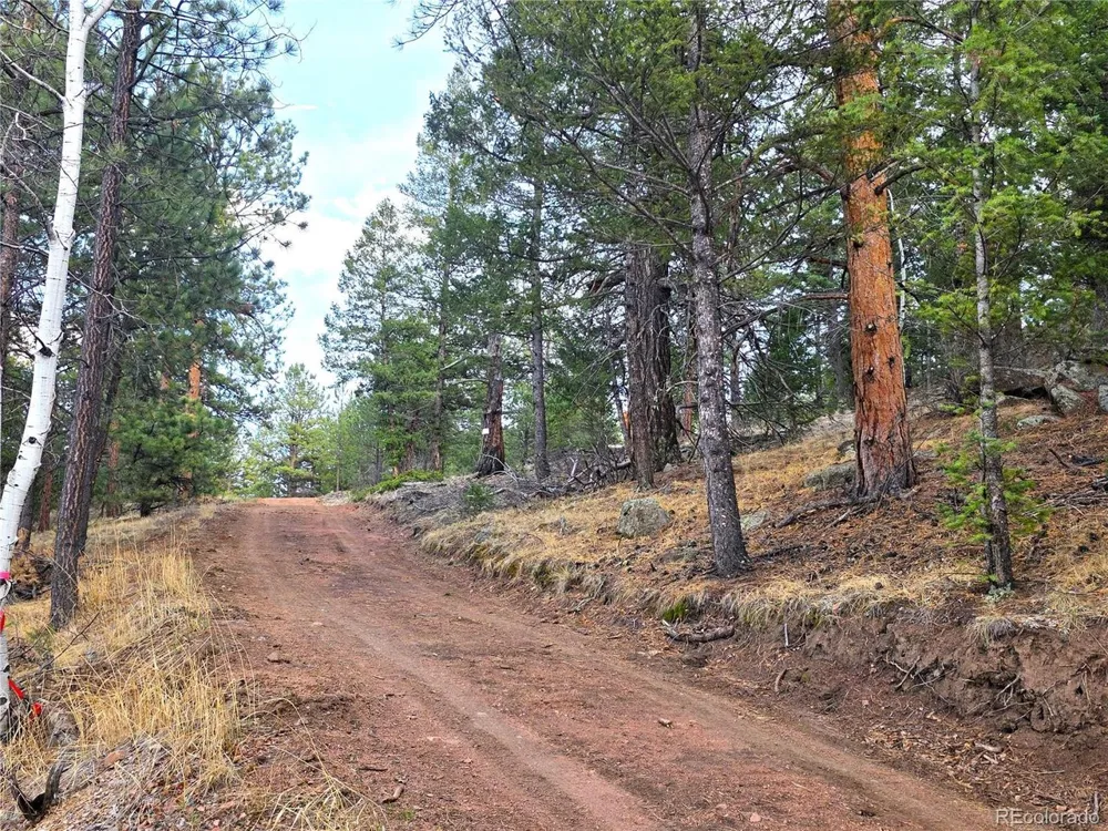 204 Pine Road Florissant, CO 80816