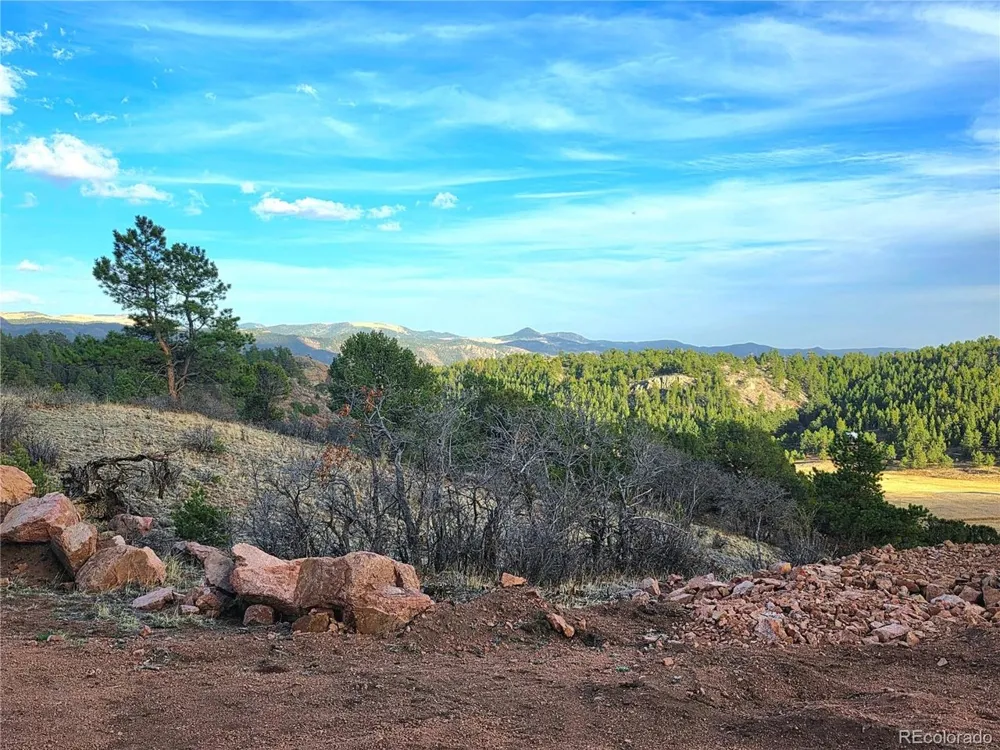 204 Pine Road Florissant, CO 80816