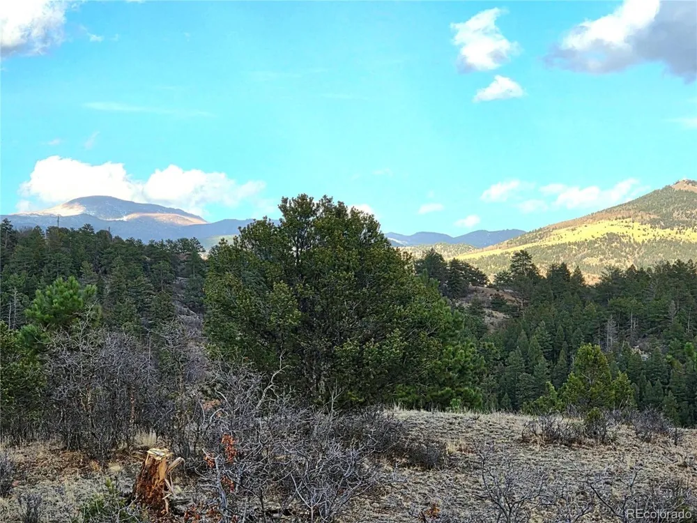 204 Pine Road Florissant, CO 80816