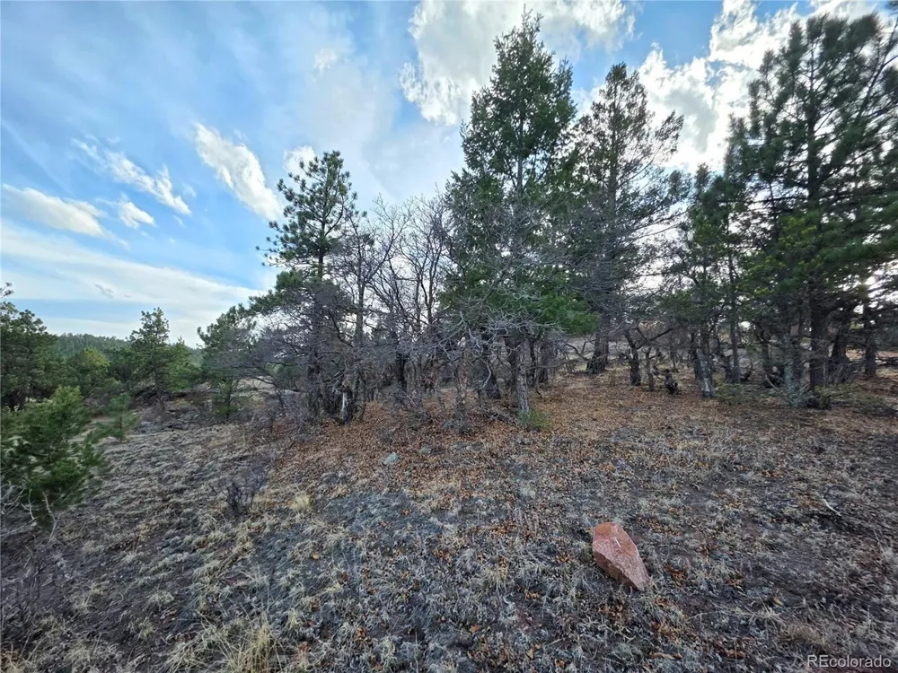 204 Pine Road Florissant, CO 80816