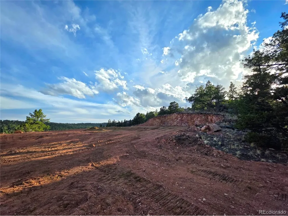 204 Pine Road Florissant, CO 80816