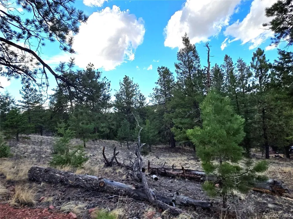 204 Pine Road Florissant, CO 80816