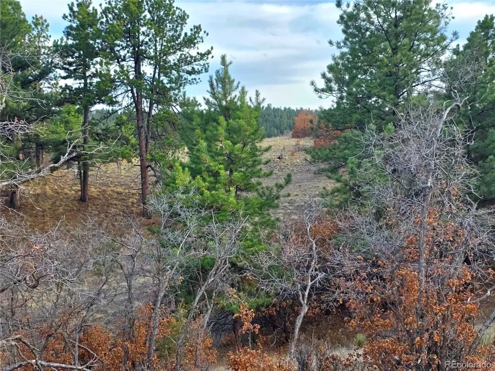 204 Pine Road Florissant, CO 80816