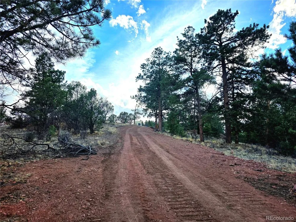 204 Pine Road Florissant, CO 80816