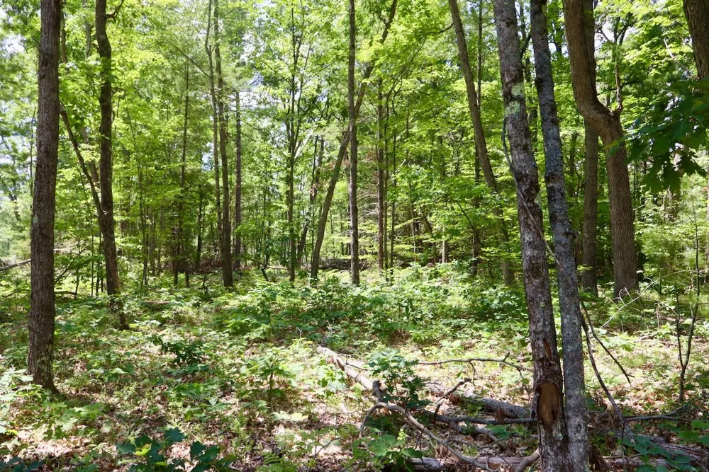 E Long Lake Road #V/L Harrison, MI 48625
