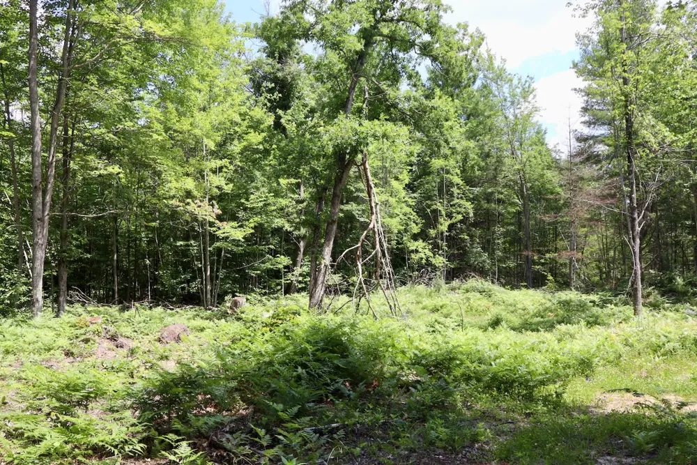 E Long Lake Road #V/L Harrison, MI 48625