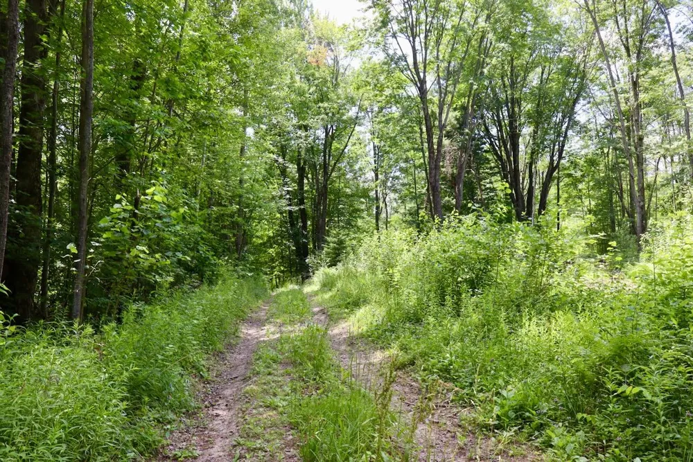 E Long Lake Road #V/L Harrison, MI 48625