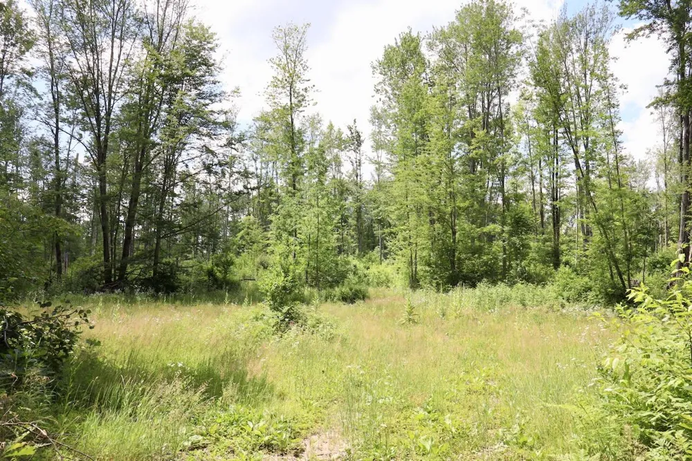 E Long Lake Road #V/L Harrison, MI 48625