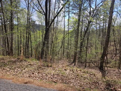 135 Adair Drive