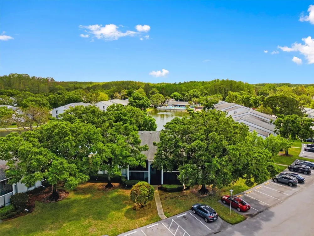 1135 PINE RIDGE CIRCLE W #A2 Tarpon Springs, FL 34688