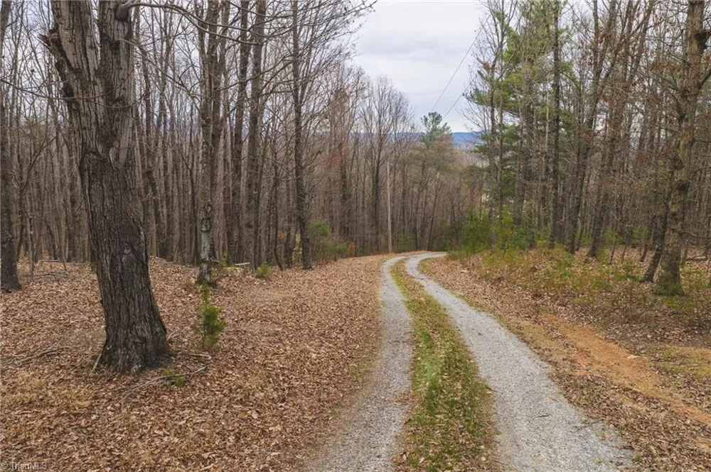 Tract 4 All Healing Springs Road Taylorsville, NC 28681