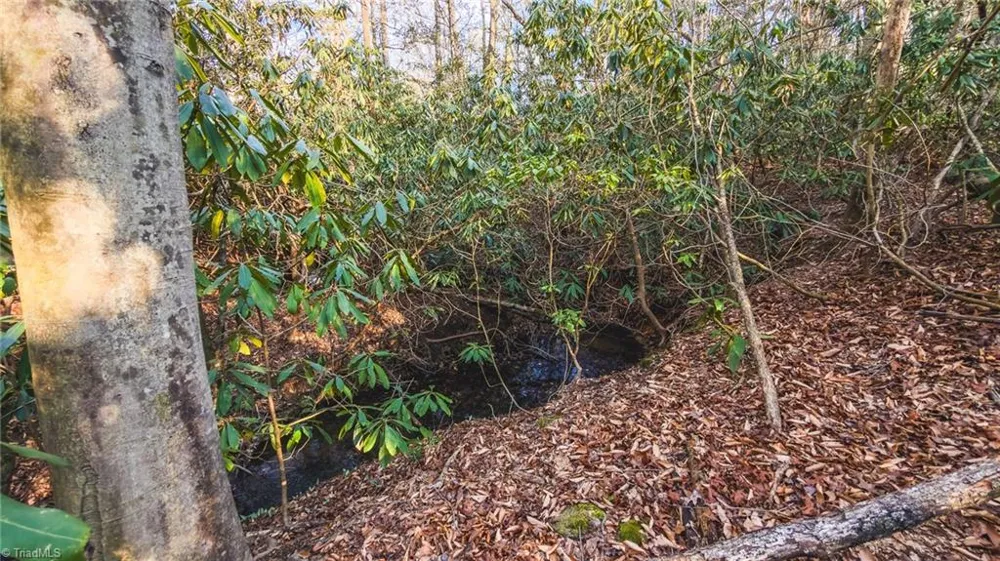Tract 4 All Healing Springs Road Taylorsville, NC 28681