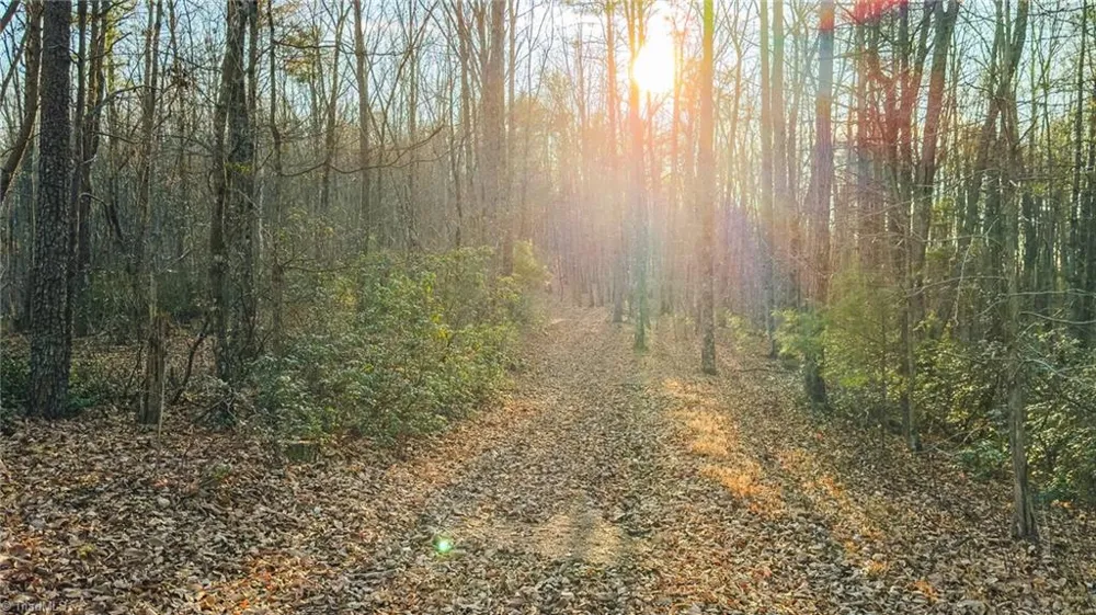 Tract 4 All Healing Springs Road Taylorsville, NC 28681