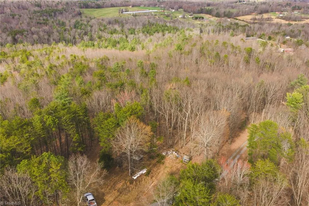 Tract 4 All Healing Springs Road Taylorsville, NC 28681