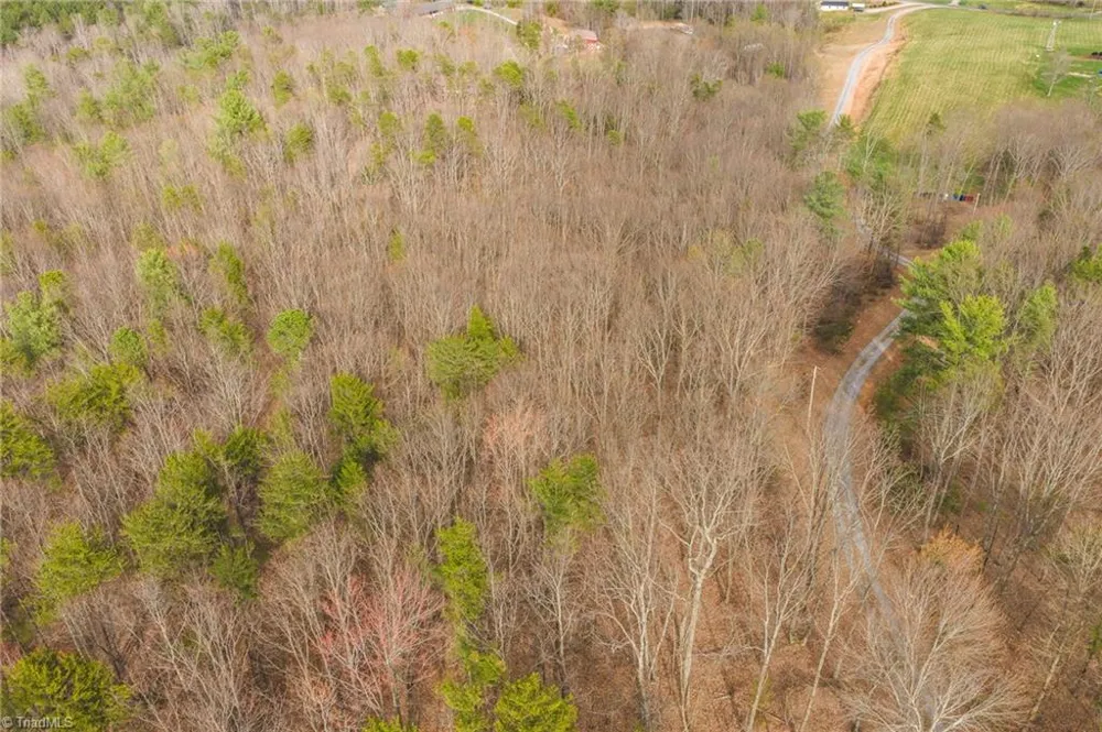 Tract 4 All Healing Springs Road Taylorsville, NC 28681