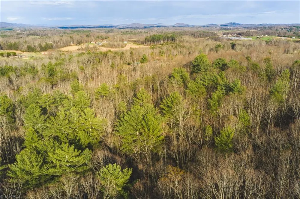 Tract 4 All Healing Springs Road Taylorsville, NC 28681