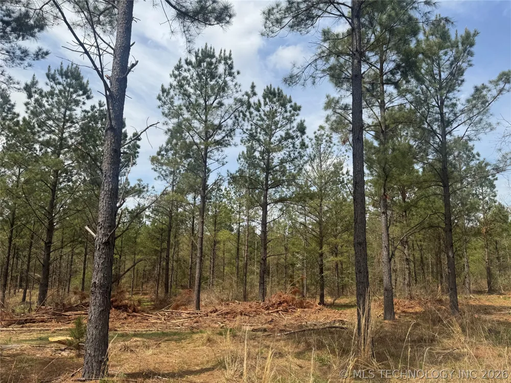 Milam Road Antlers, OK 74523