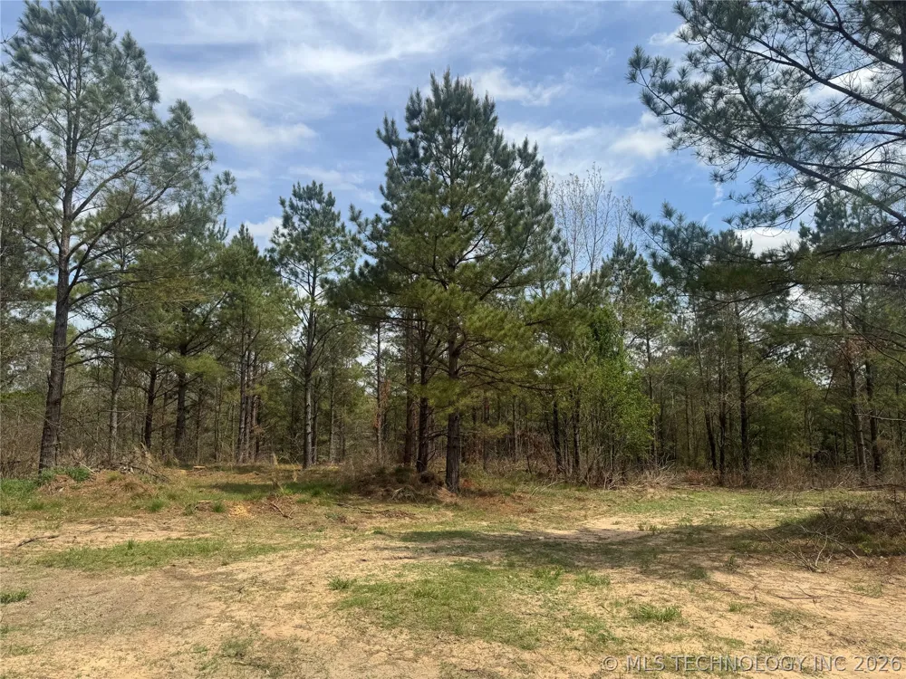Milam Road Antlers, OK 74523
