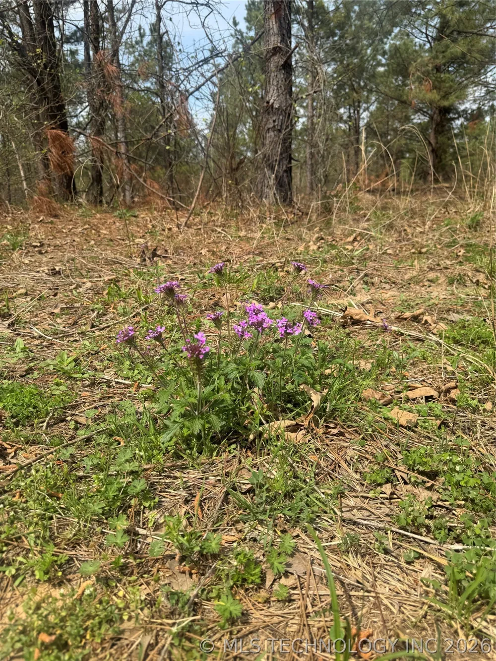 Milam Road Antlers, OK 74523