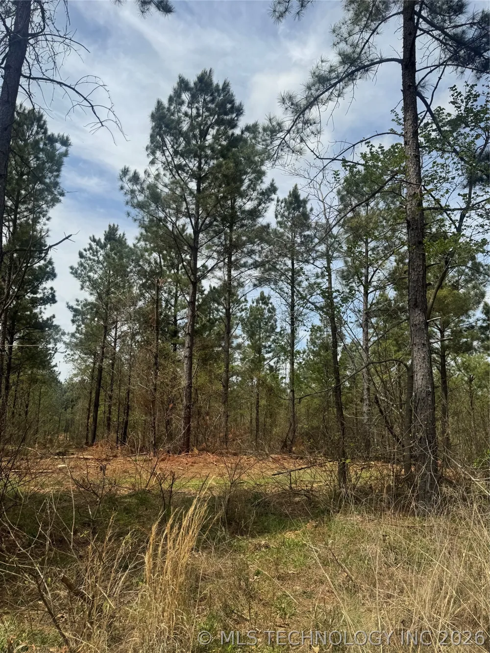 Milam Road Antlers, OK 74523