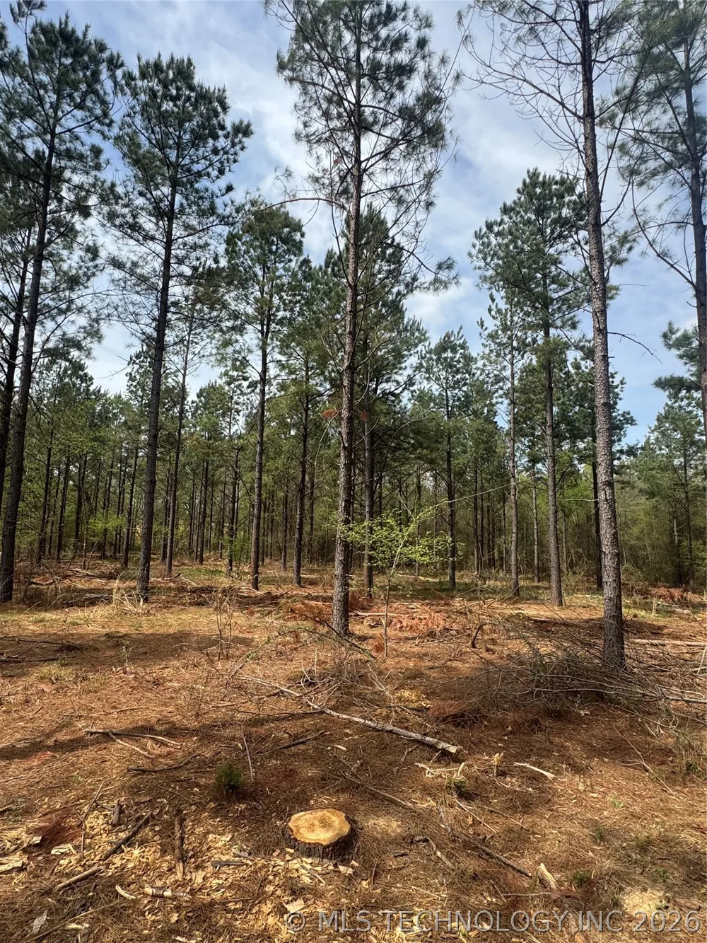 Milam Road Antlers, OK 74523