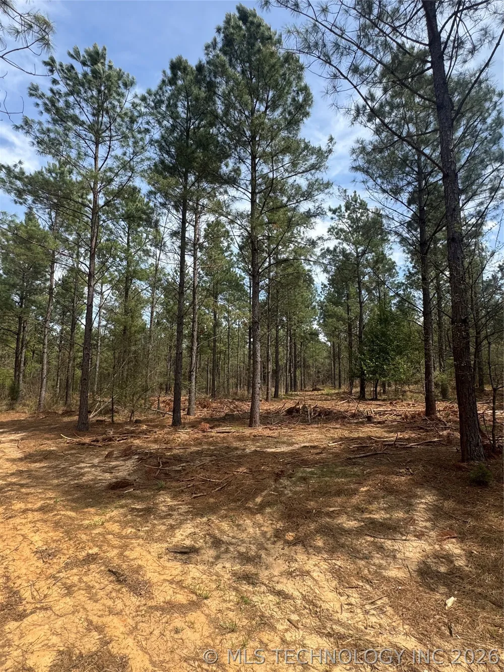 Milam Road Antlers, OK 74523