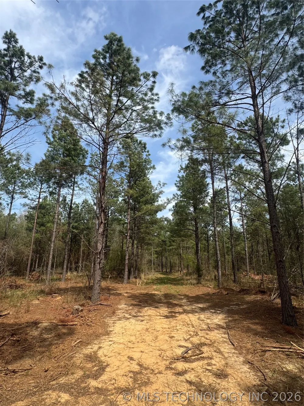 Milam Road Antlers, OK 74523